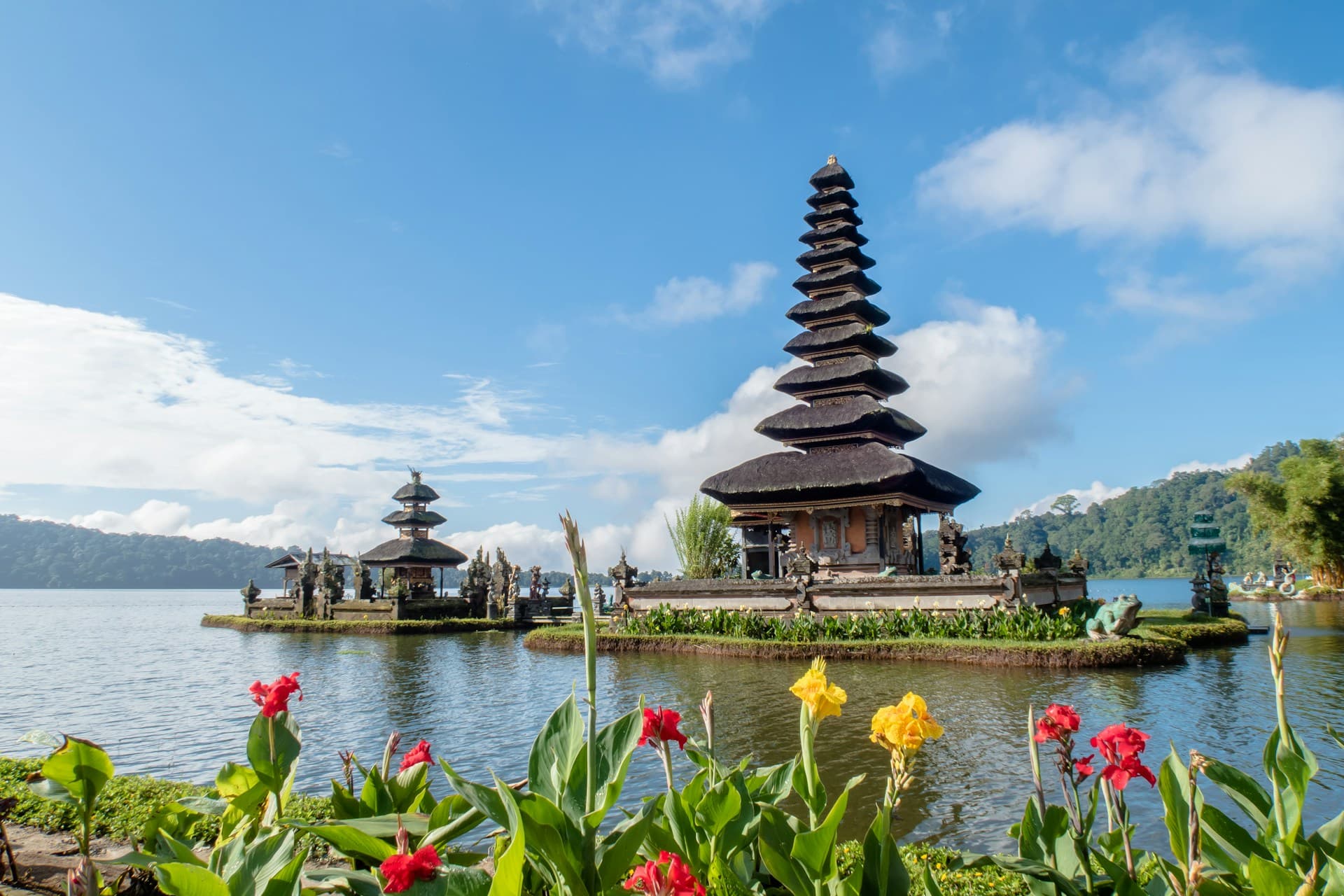 Terraced rice paddies in Bali with palm trees